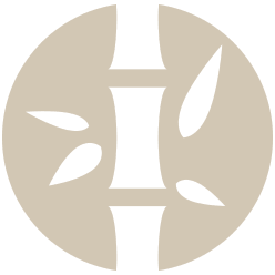 logo design step one: discussing the brand personality and aims