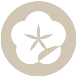 logo design step one: discussing the brand personality and aims