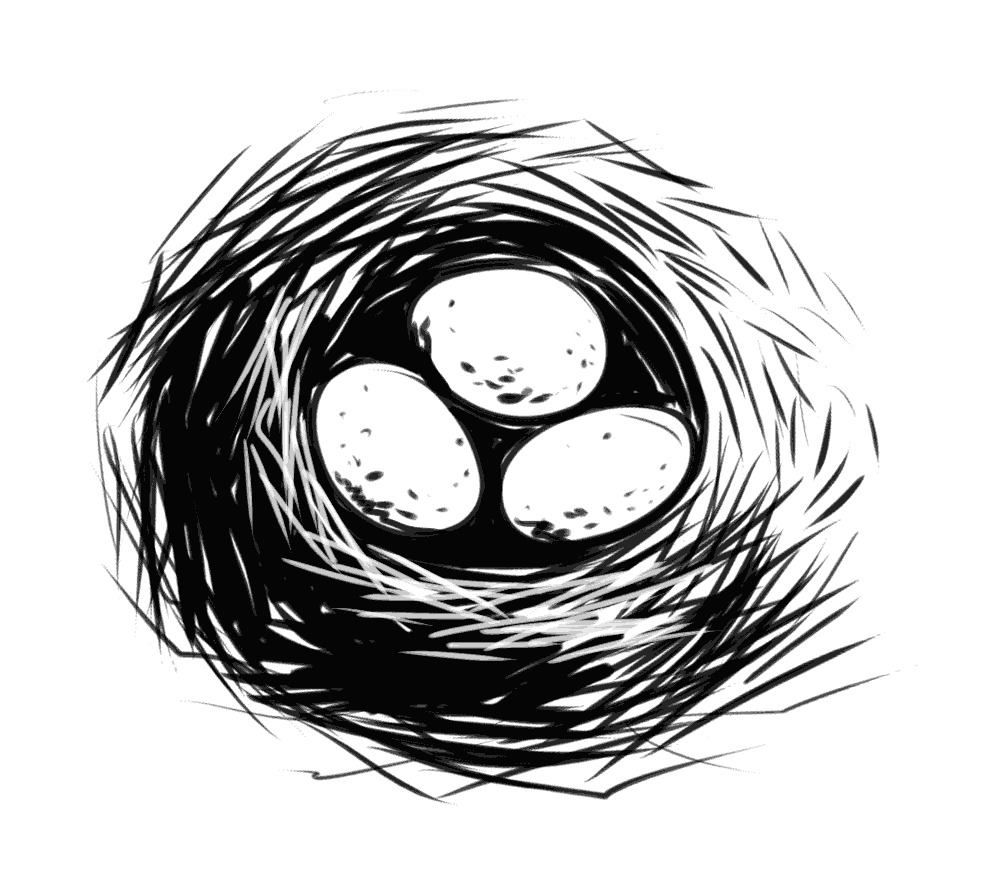Realistyczna ilustracja, rysunek ptasiego gniazda z jajkami.