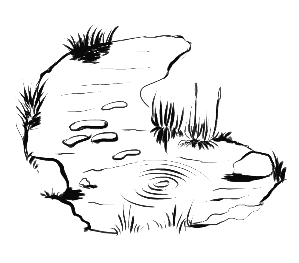 Realistyczna ilustracja, rysunek małego stawu pełnego wody.