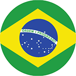 inspiracja do logo fundacji kultury brazylijskiej: kolory flagi Brazylii