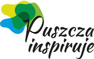 projekt logo programu o kulturze i naturze Puszczy Kampinoskiej - dynamiczny logotyp z rozwianą koroną drzewa