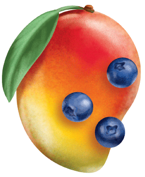 malowany key visual z ilustracją owoców mango i borówki na etykietę soku smoothie