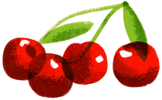 ilustracja grafika rysunek owoców wiśni na etykietę opakowania naturalnej konfitury