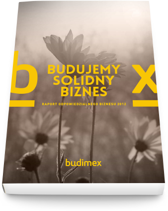 projekt okładki raportu rocznego CSR dla firmy Budimex