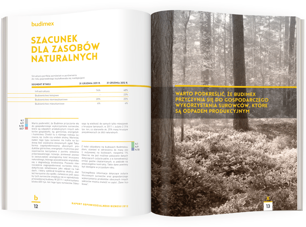 projekt tabeli i grafiki z leadem w raporcie rocznym CSR dla firmy Budimex
